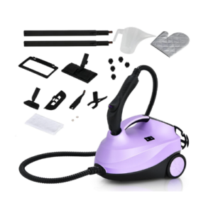 nettoyeur vapeur punaise de lit