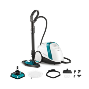 nettoyeur vapeur punaises de lit