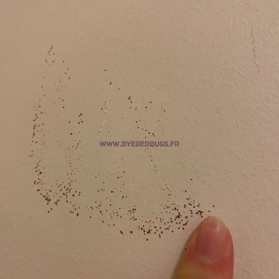 caca punaise de lit mur