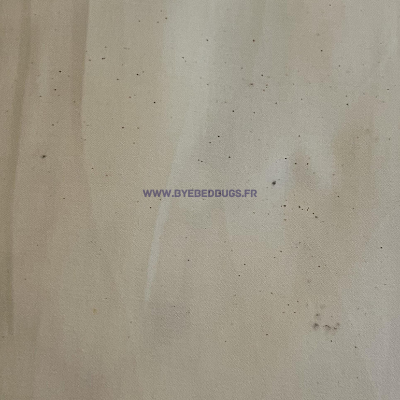 excrement punaise de lit drap