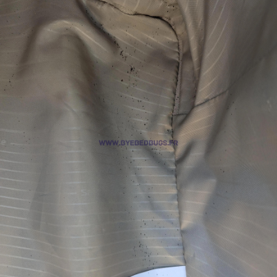 excrement punaise valise