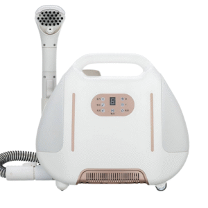 nettoyeur vapeur seche punaise de lit
